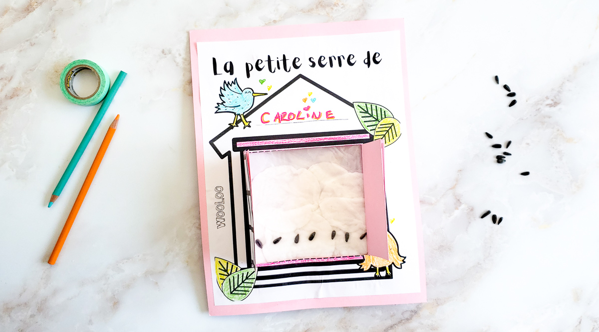 mini-serre-en-papier-wooloo_entete