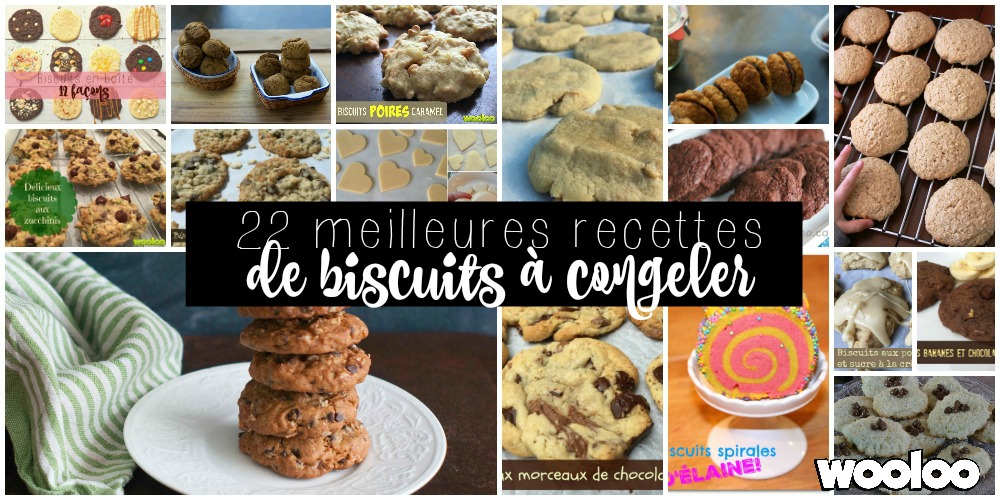 22 meilleures recettes de biscuits à congeler wooloo