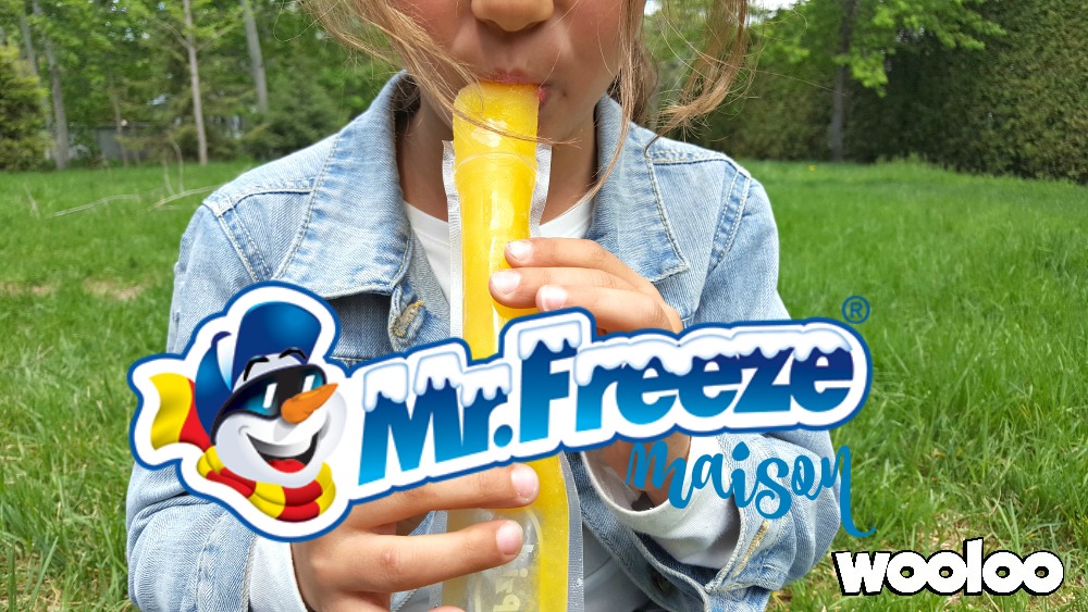 mr freeze maison / wooloo