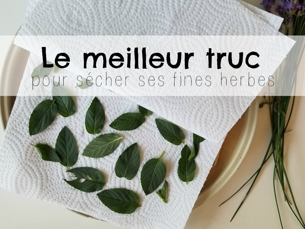 meilleur truc pour sécher ses fines herbes wooloo