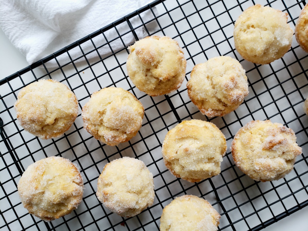 Muffins de style beigne au sucre wooloo