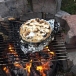 tarte-smore-wooloo-feu-camp