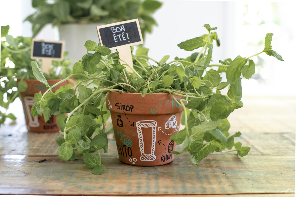 peinture-pot-mojito_wooloo
