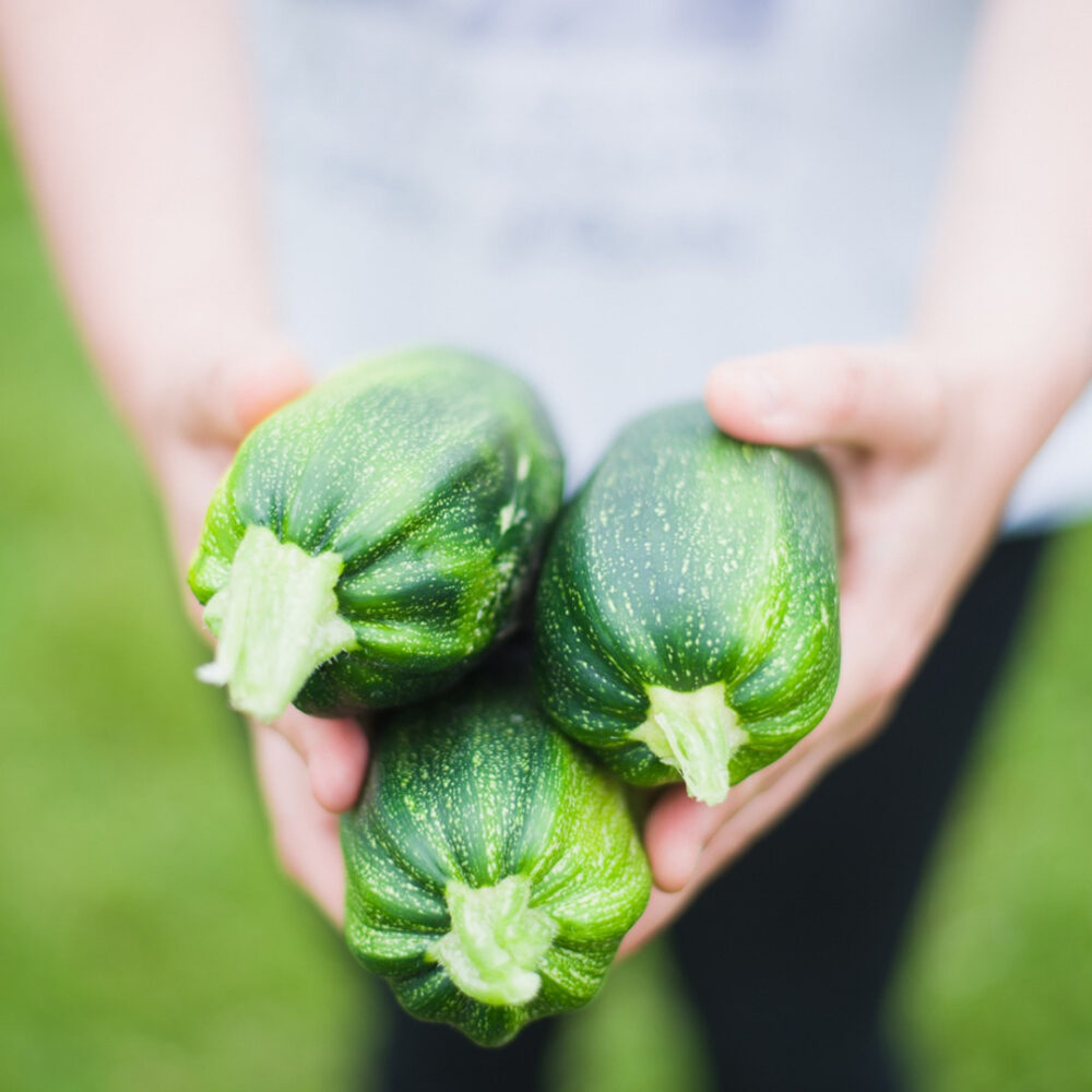 Enfant qui tient des courgettes