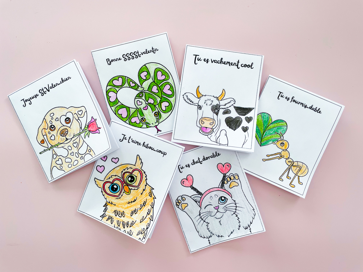 drôles-cartes-st-valentin-wooloo_coloriées