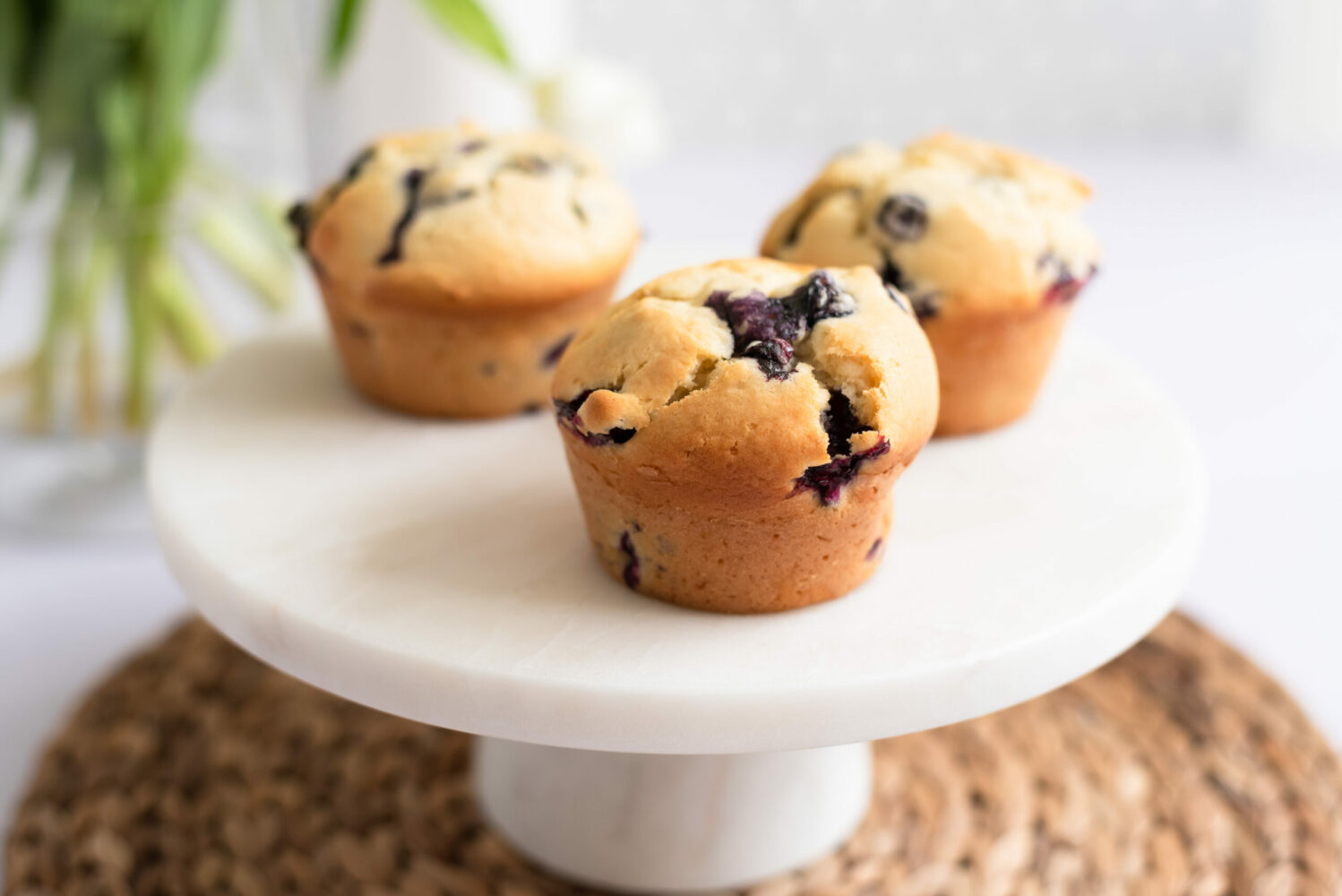 muffins-géants-aux-bleuets-wooloo_entête