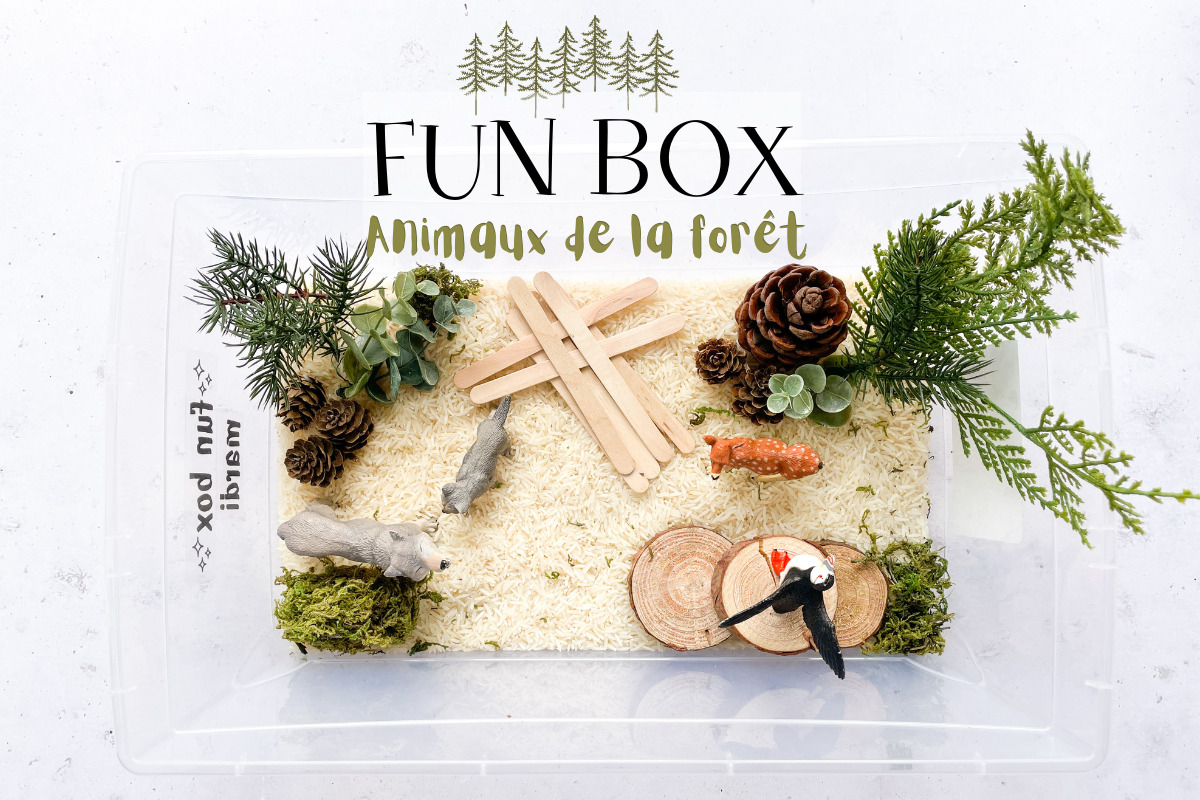fun box-animaux-de-la-forêt-wooloo_entête