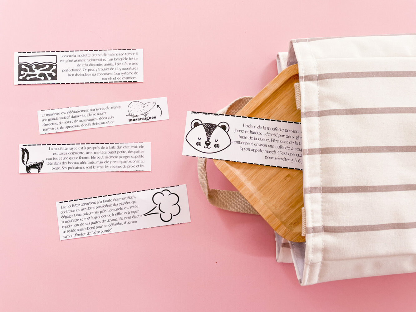 croque-savoir-la moufette-wooloo_entête